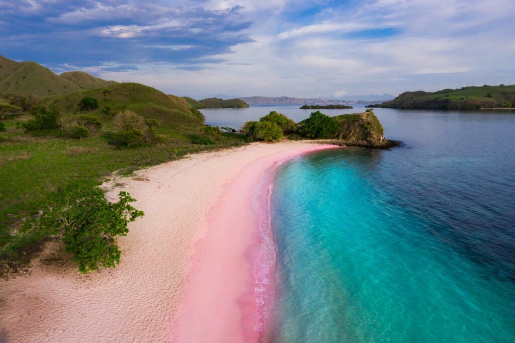 Plage de sable rose aux Bahamas