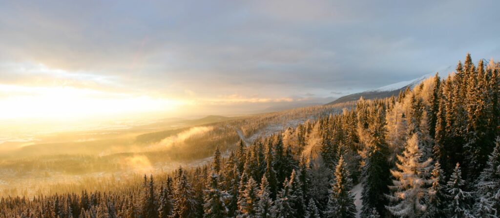 Forêt des Carpates blanches, République tchèque et Slovaquie