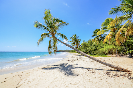 Martinique : entre plages et randonnées