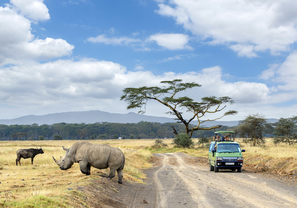 Les meilleures destinations safari