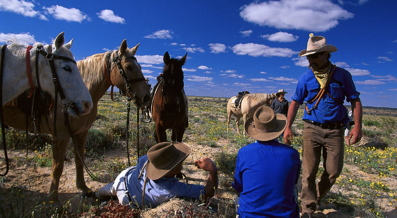 Voyage insolite chez les cowboys d’Australie