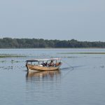 bateau_flottant_nature