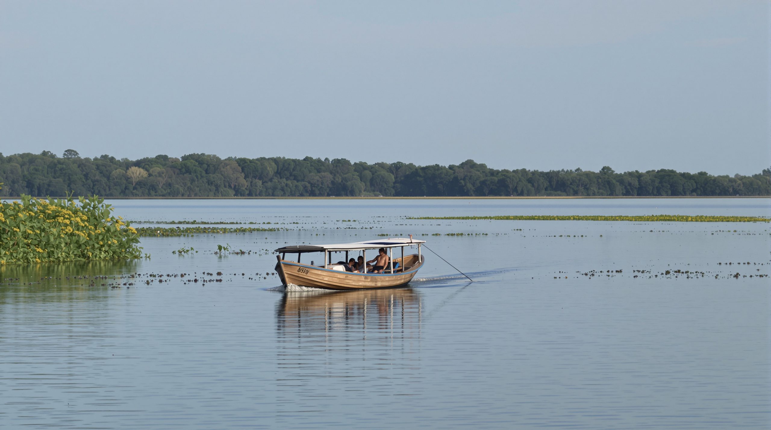 bateau_flottant_nature