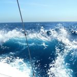 catamaran-ocean-competition