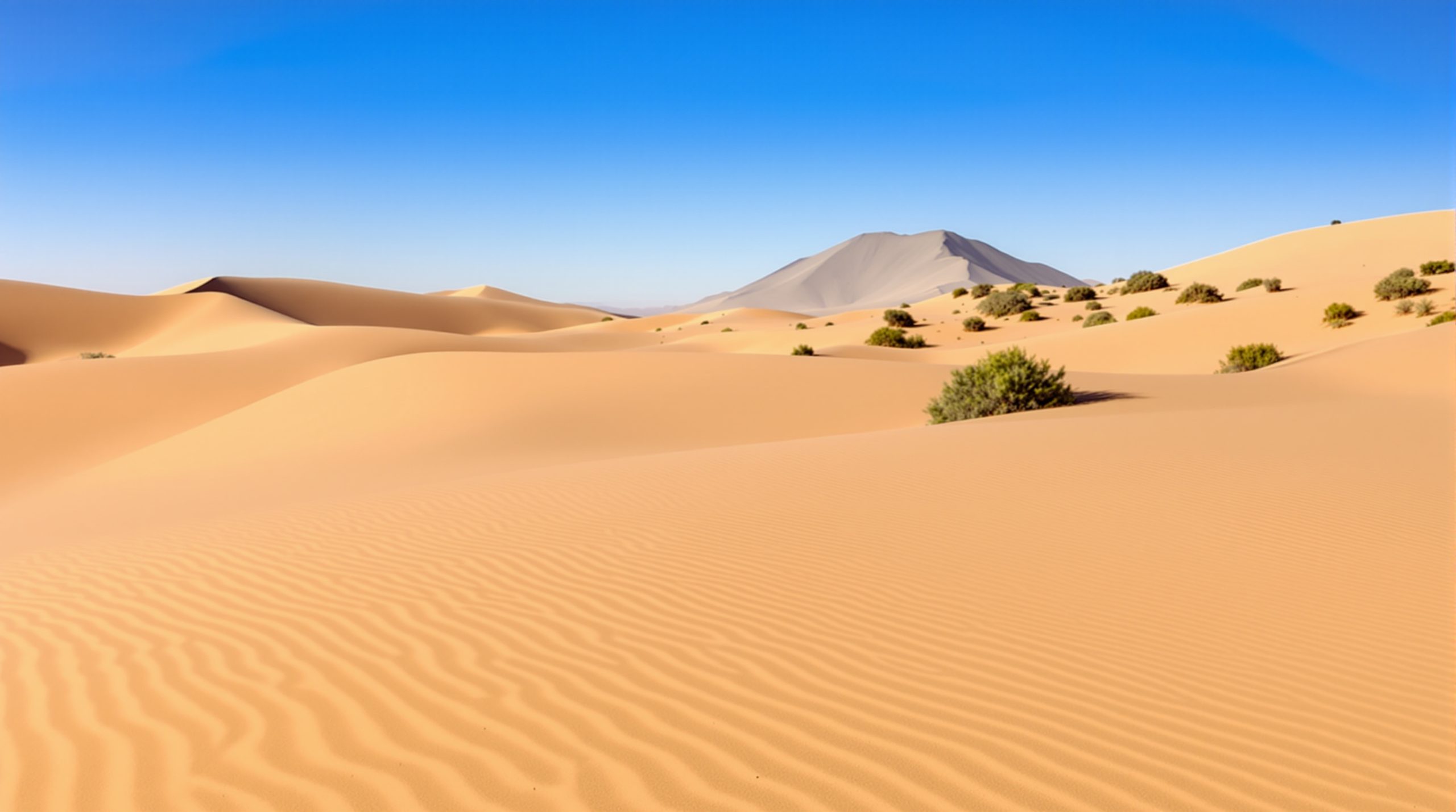 desert_oasis_scape