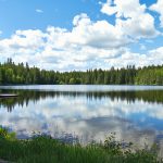lac_forets_cabane