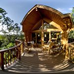 lodge_foret_verdoyante