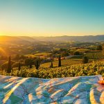 Paysage de vignobles au coucher du soleil