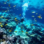 plongée-sous-marine-lombok