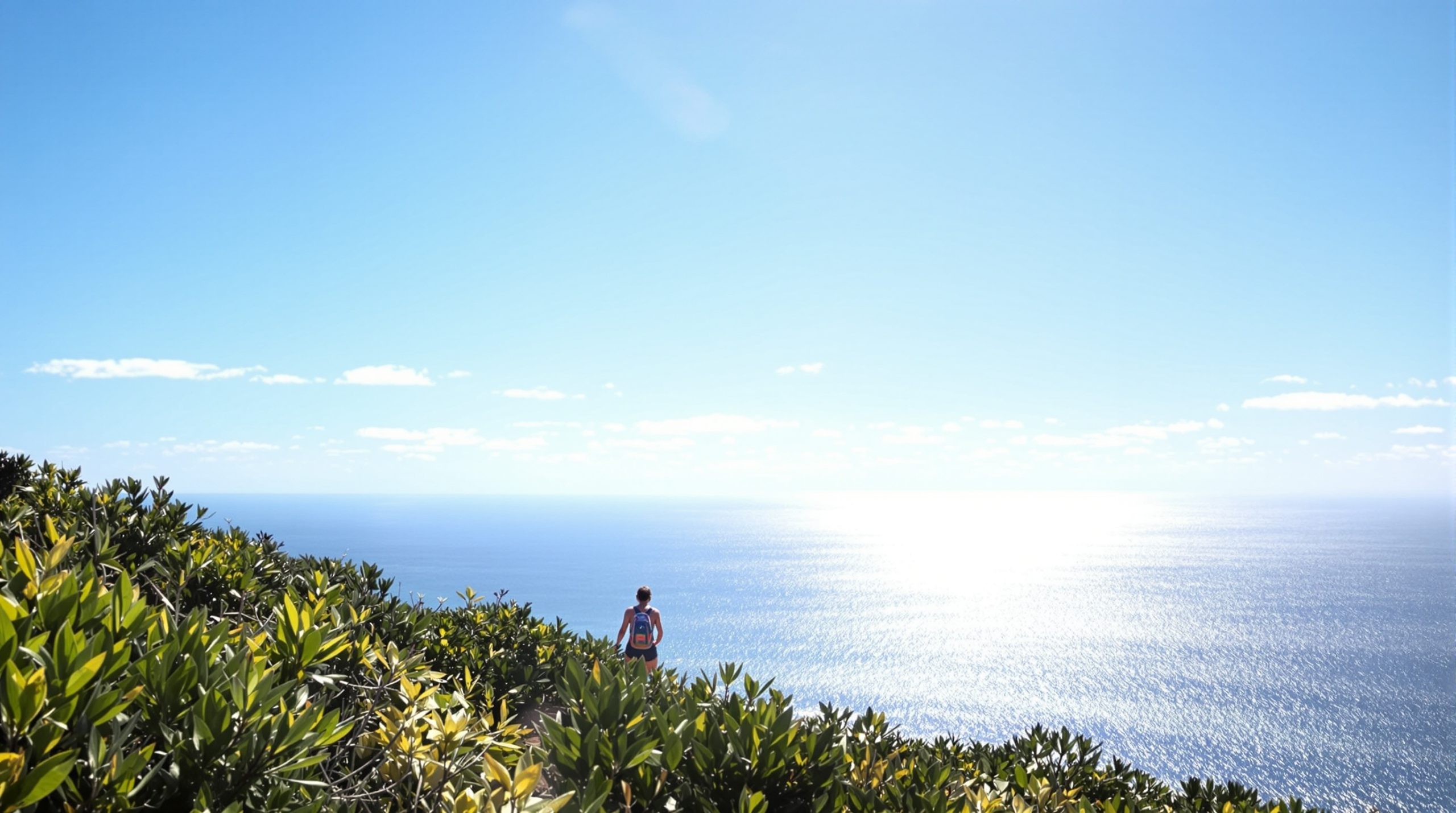 sentier_ocean_trail
