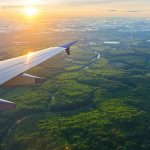 survol_foret_canadienne_avion
