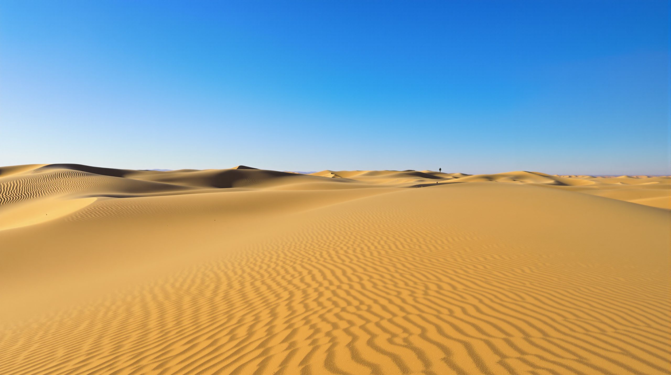 desert_dunes_gulf_persian_scene