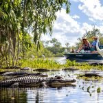 Exploration paisible en airboat dans un marécage floridien