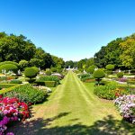 Jardin_Luxuriant_Artistique