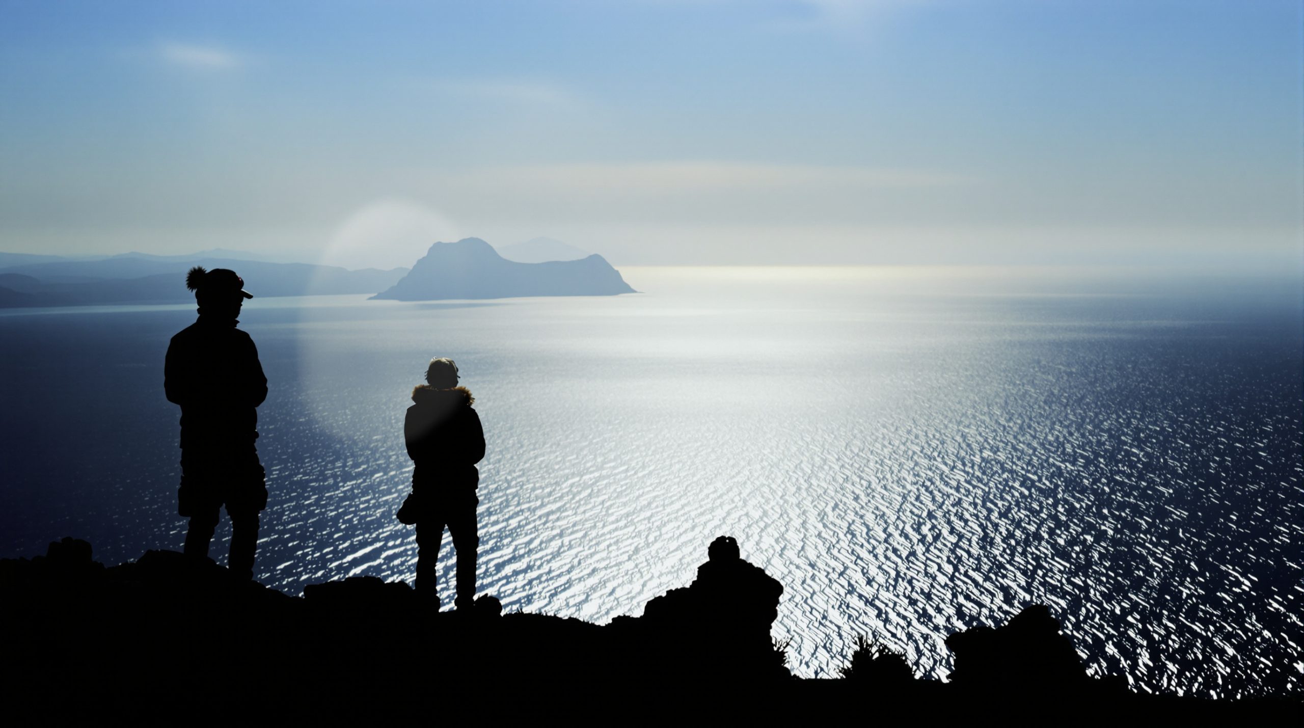 macareux_falaises_écossaises