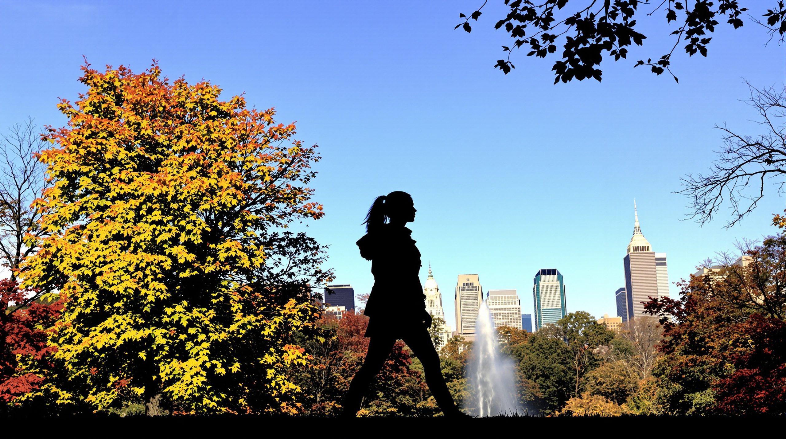 Promenade automnale à Central Park