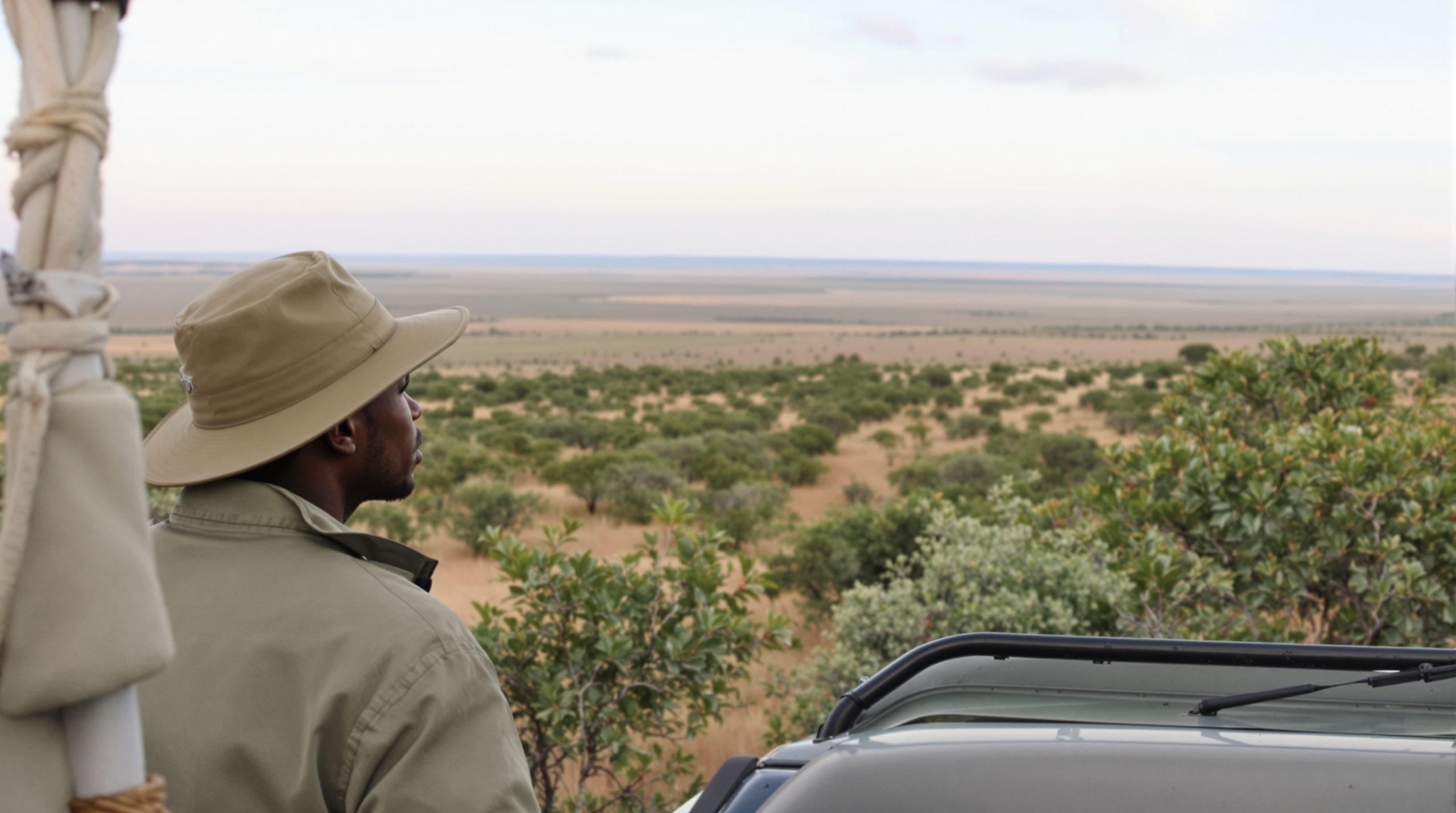 safari-africain