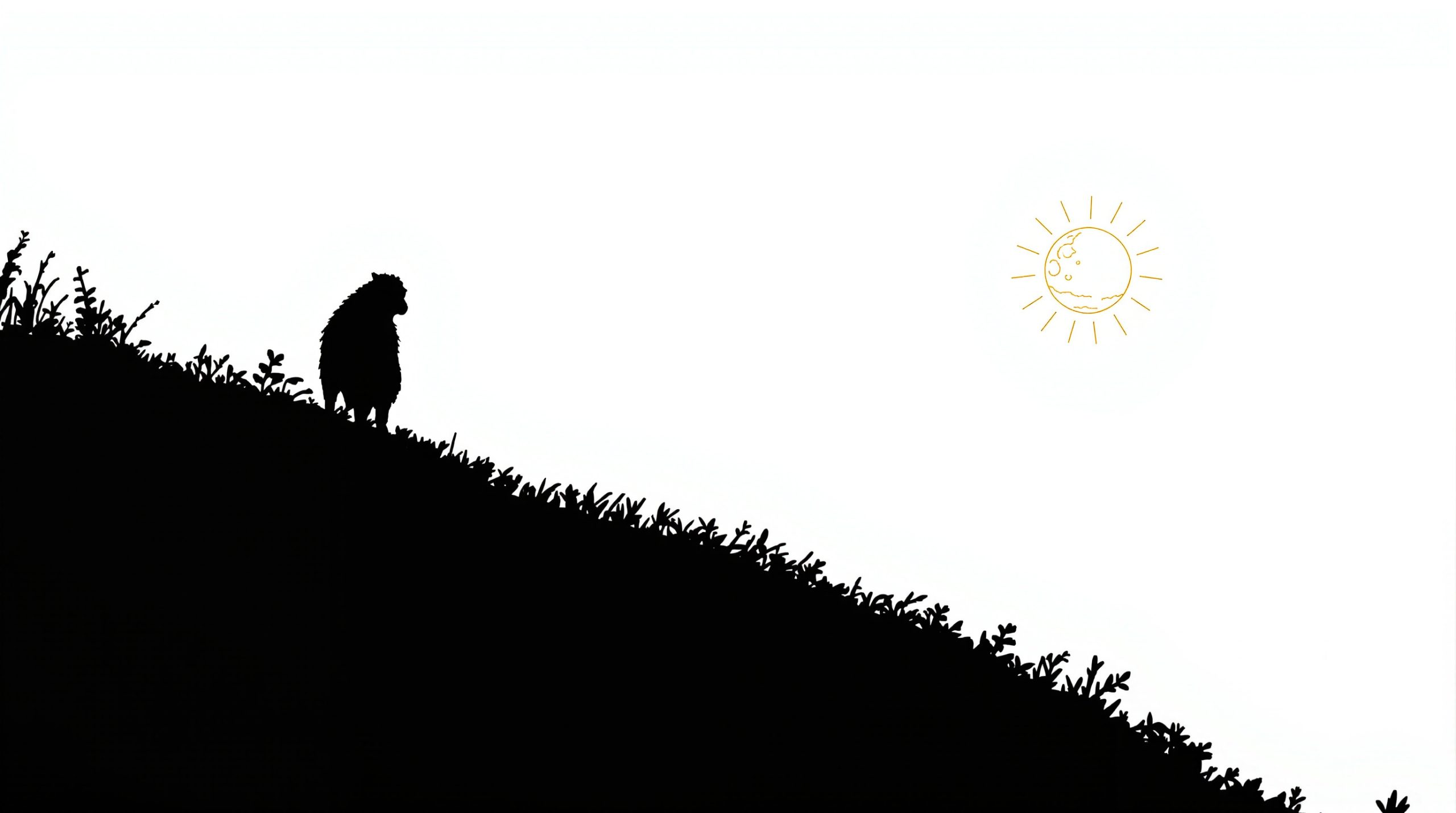 eclipse_solaire_observation