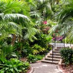 jardin_palmiers_securite