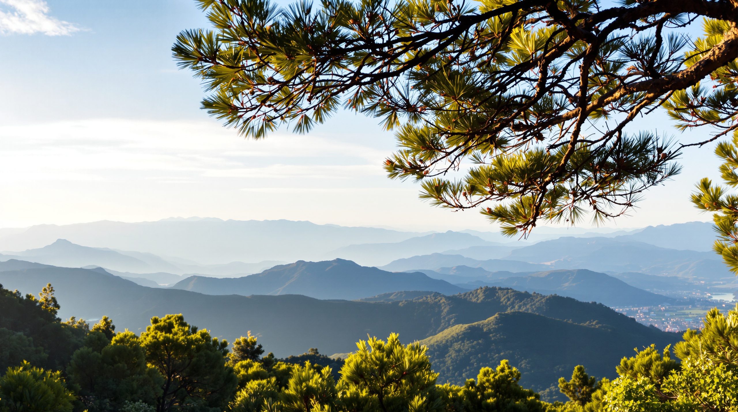 montagnes_pyrénées_nature