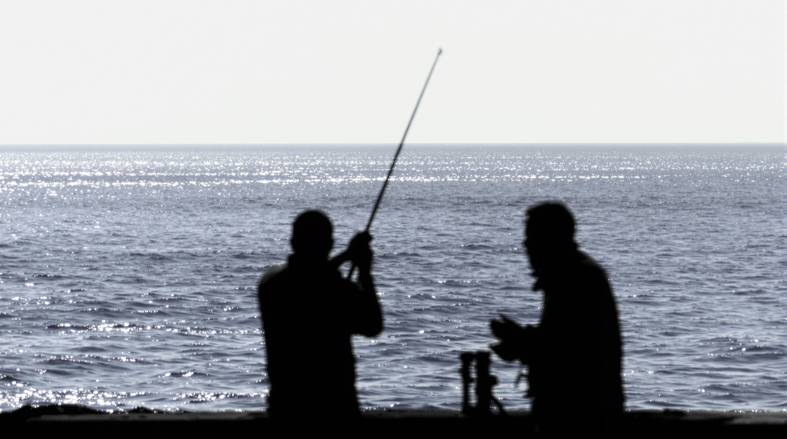 Pêcheur Baie Saint-Brieuc