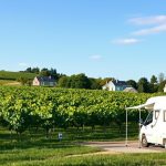 vignoble-alsace-camping-car