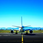 aeroport_japon_cerisier