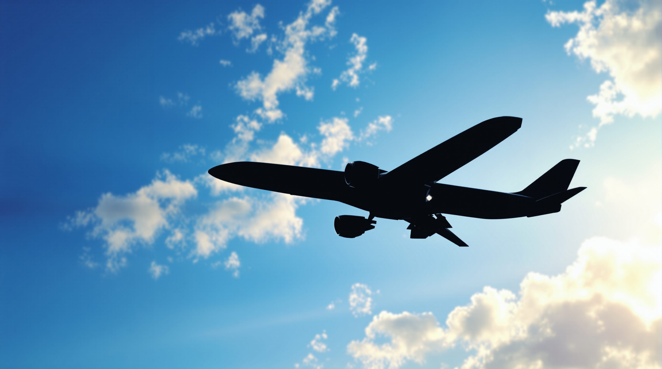 avion_en_vol