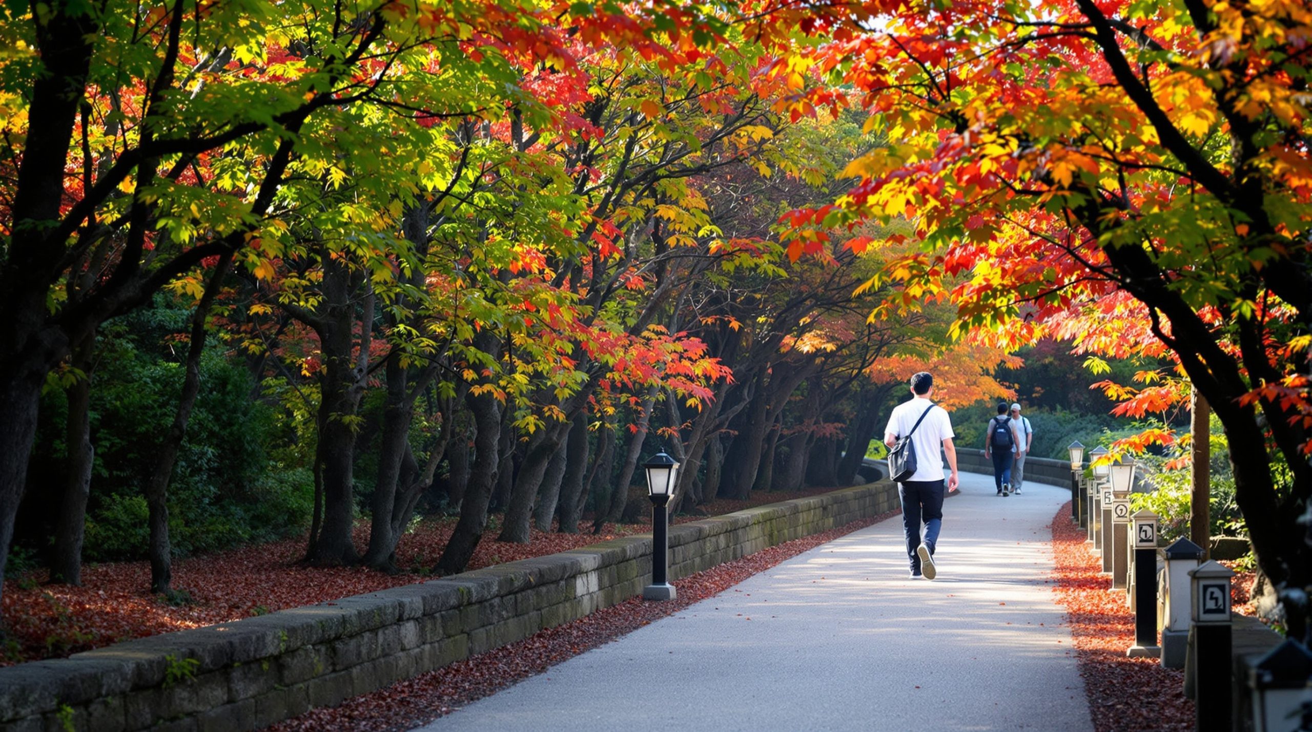 Arashiyama_Bois_de_Bambous_et_Erables