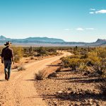 Arizona_desert_silhouette_scene
