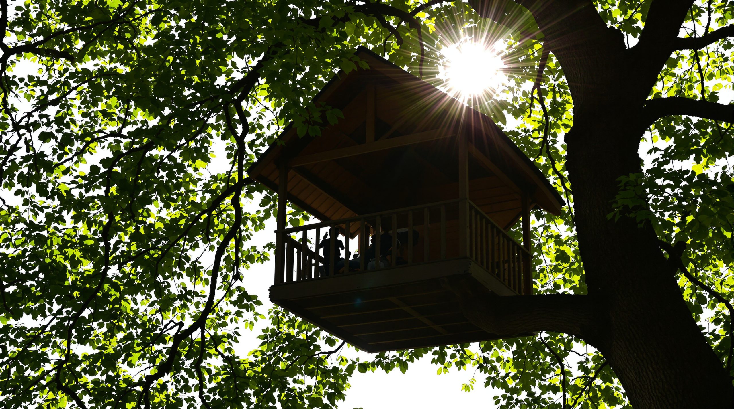 cabane_perchée_arbres