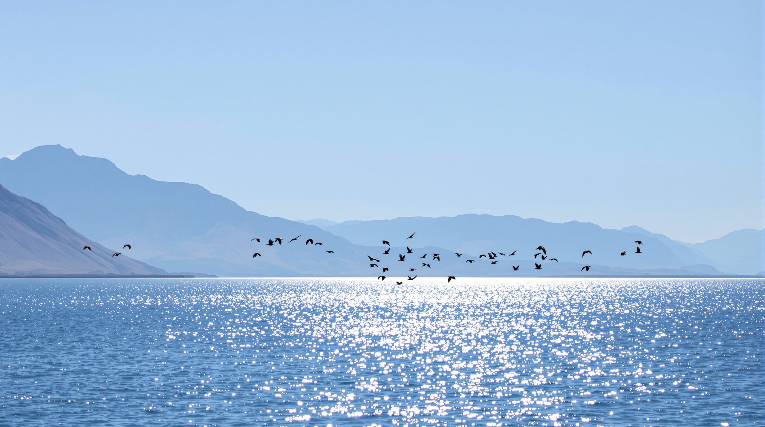 Paysage du Great Salt Lake.
