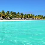 plage_cocotiers