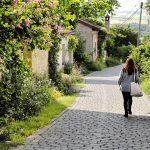 Ruelle_pavée_village_fleuri
