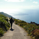 sentier_pin_silhouette