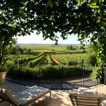 TerrasseVignoblesLoire