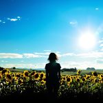 tourisme_durable_champ_tournesols